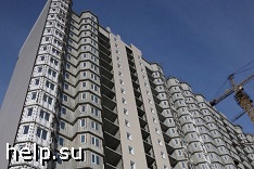    -        2023 